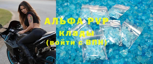 крисы Алзамай