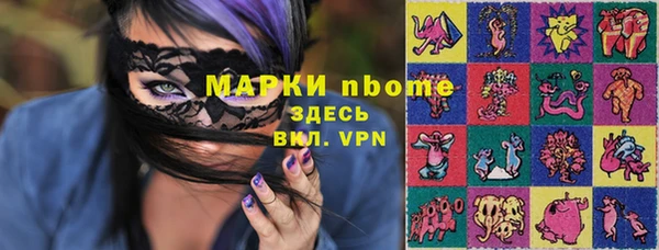крисы Алзамай