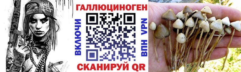 hydra ссылка  Железноводск  Псилоцибиновые грибы ЛСД  где купить наркоту 